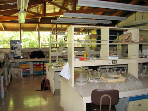 Estación Biológica La Selva Costa Rica