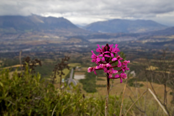 Laguna Cuicocha photo 3