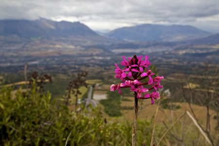 Laguna Cuicocha photo 3