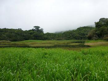 Lagunas de Volcan photo 3