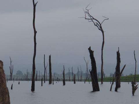 Lago Bayano Panama