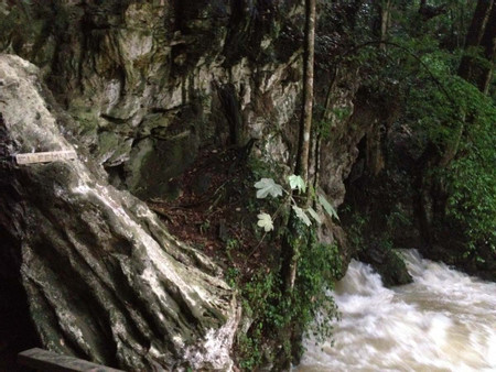 Lanquín Caves photo 2