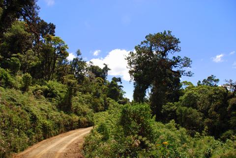 Parque Nacional Los Quetzales Costa Rica