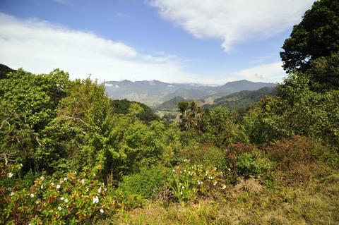 Los Quetzales Trail Panama