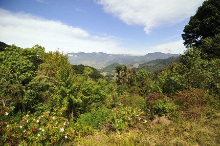 Los Quetzales Trail photo 3