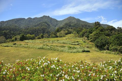 Los Quetzales Trail Panama