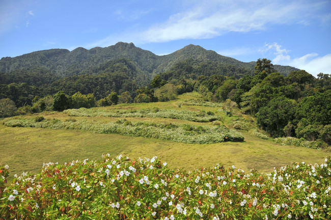 Los Quetzales Trail