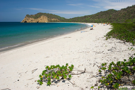 Parque Nacional Machalilla photo 3