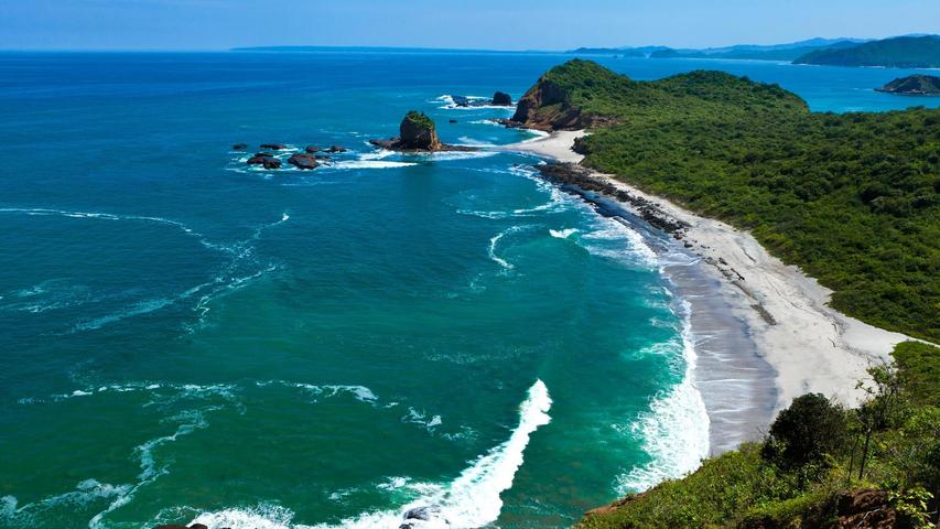Wildlife Experiences Image: A beautiful coastal scene shows a blue ocean. Larger rocks are just off the shore, and there are luscious green cliffs.
