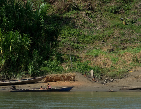 Manu National Park