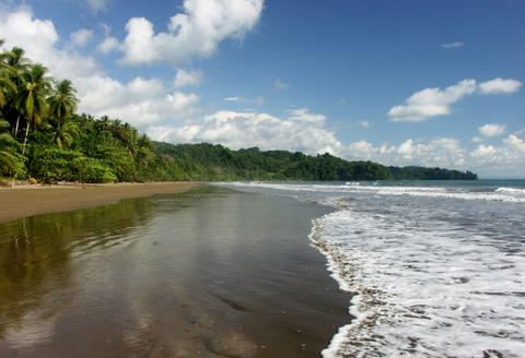 Marino Ballena National Park Costa Rica