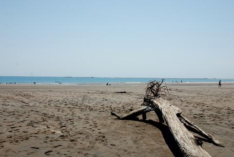 Marino Ballena National Park Costa Rica