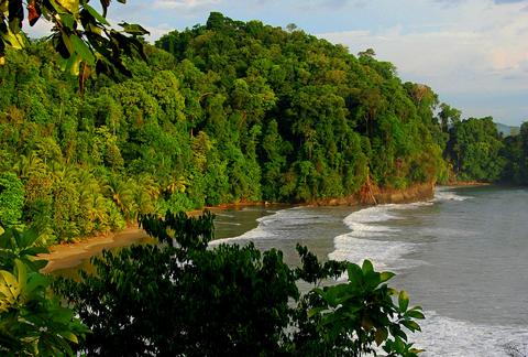 Marino Ballena National Park Costa Rica