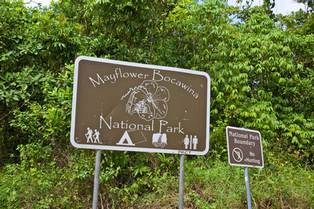 Mayflower Bocawina National Park photo 3