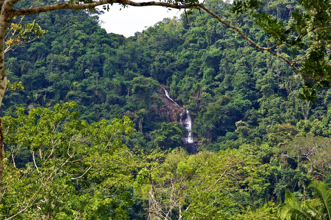 Mayflower Bocawina National Park