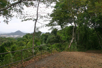 Parque Natural Metropolitano photo 3