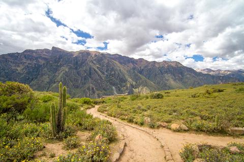 Mirador del Condor Peru