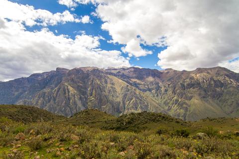 Mirador del Condor Peru