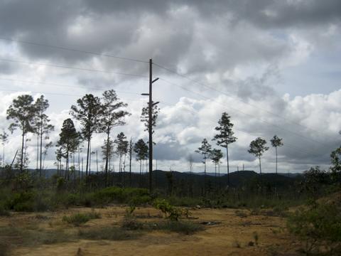 Reserva Forestal Montaña Pine Ridge Belize