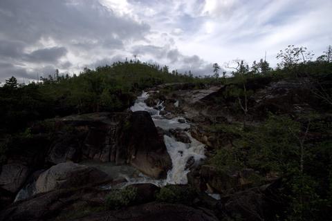 Reserva Forestal Montaña Pine Ridge Belize