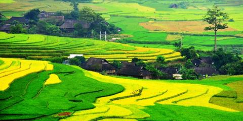 Muong Hoa Valley Vietnam
