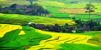 Muong Hoa Valley photo 2