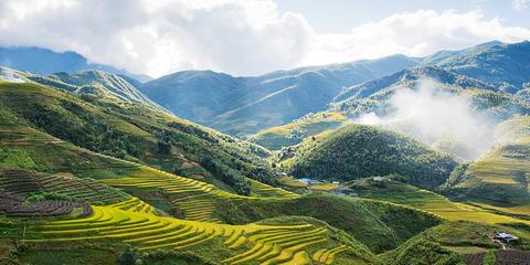 Muong Hoa Valley Vietnam