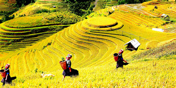 Muong Hoa Valley photo 3
