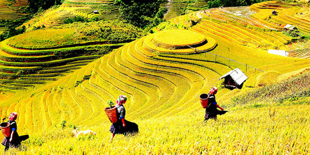 Muong Hoa Valley photo 3