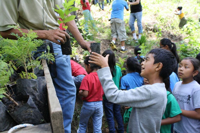 Naciones Unidas National Park