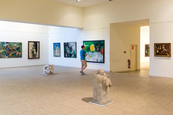 Museo Nacional de Bellas Artes photo 2