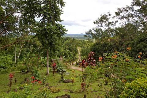 Nim Li Punit Ruins Belize