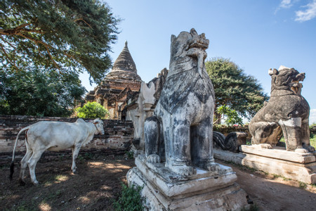 Old Bagan photo 3