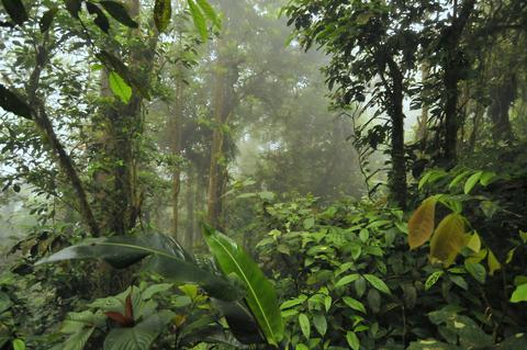 Parque Nacional Omar Torrijos Panama