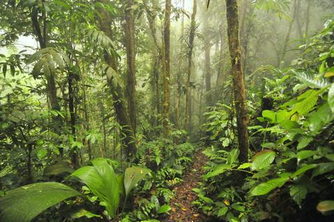 Parque Nacional Omar Torrijos Panama