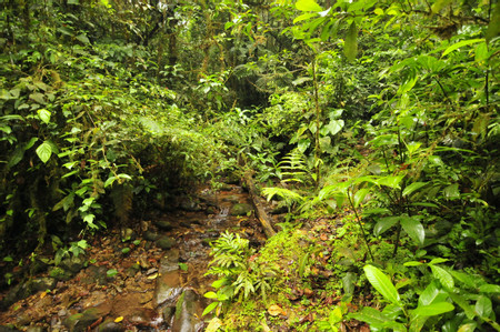 Parque Nacional Omar Torrijos photo 3