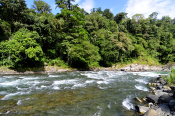 Pacuare River photo 2