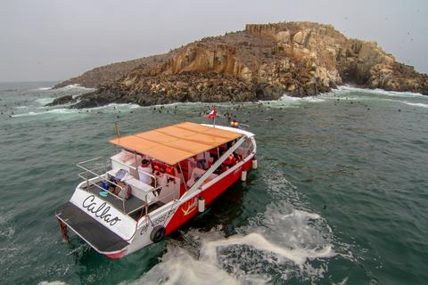 Palomino Islands Peru