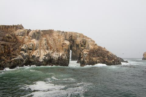 Palomino Islands Peru