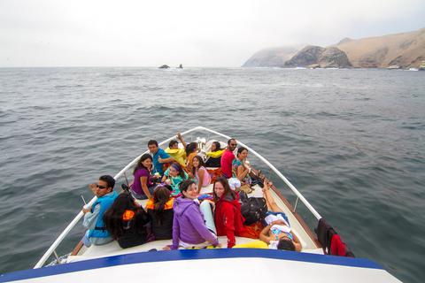 Palomino Islands Peru