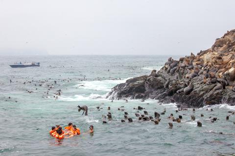 Palomino Islands Peru