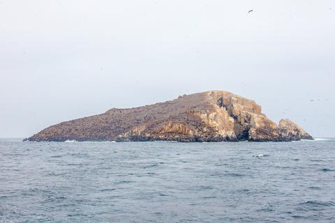Palomino Islands Peru