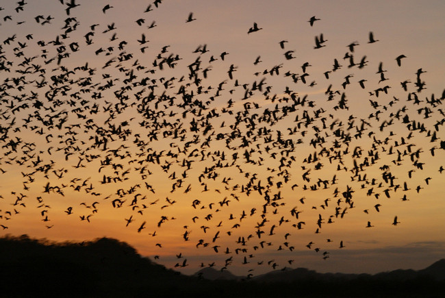 Palo Verde National Park