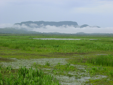 Parque Nacional Palo Verde photo 3