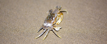 Coiba National Park photo 3