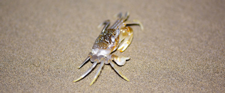 Coiba National Park photo 3