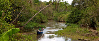 Parque Nacional Darién photo 2
