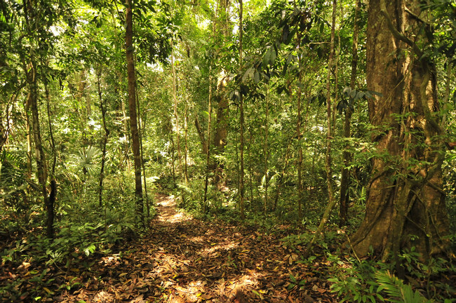 Darién National Park