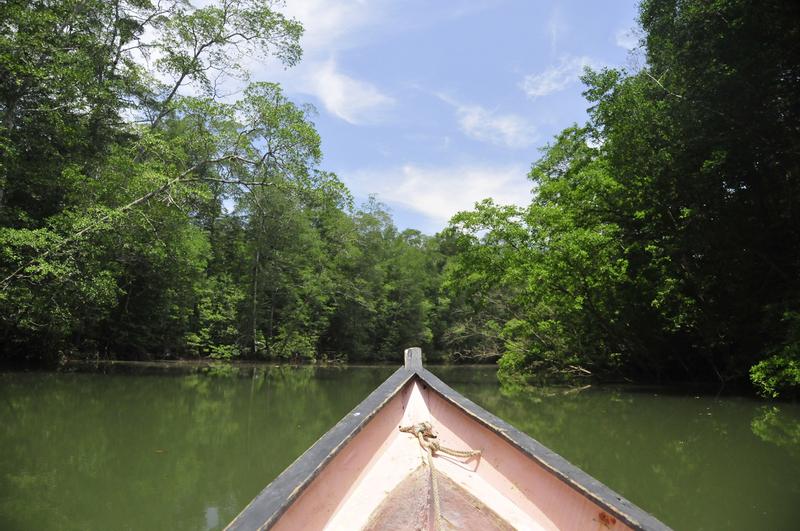 2023 Panama Visitor Guide Darién National Park, Panama