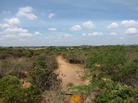 Sarigua National Park Panama